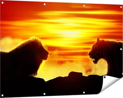 Gards Tuinposter Leeuw en Tijger - Silhouet - Zonsopkomst - 120x80 cm - Tuindoek - Tuindecoratie - Wanddecoratie buiten - Tuinschilderij