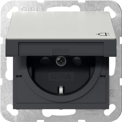 Gira Systeem 55 RVS Schuko Stopcontact Met Afdekking - 4414600
