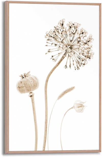 Schilderij Droogbloemen - 30 x 20 - Hout - REINDERS