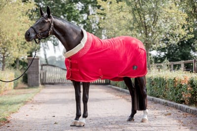 MHS Fleecedeken Deluxe 80/105 cm Rood