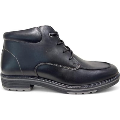 Ara 11-26502 alessio