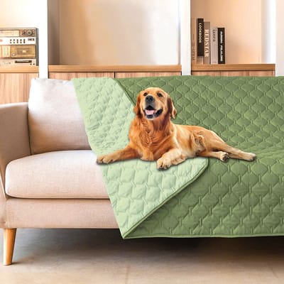 BOTC Hondendeken Bank - Waterbestendig - Dubbelzijdige - 130x200cm - Fleece Plaid Hond Kat Huisdier - Bankbeschermer - Groen