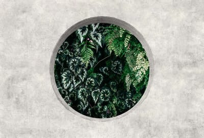 Fotobehang deepgreen1 DD122092 Livingwalls Walls by Patel 3 Groen Grijs Vlies 270 x 400 cm (4 delen) 3D Fotobehang