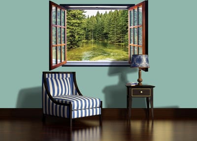 Nature window wallcovering