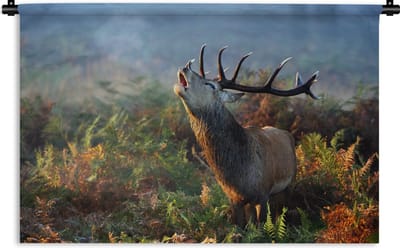 Wandkleed - Wanddoek - Hert - Bos - Mist - 150x100 cm - Wandtapijt