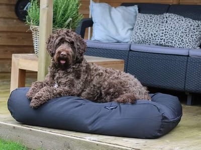 Dog's Companion Hondenkussen / Hondenbed - S - 70 x 50 cm - Zwart Water- en Vuilafstotende Coating - Waterafstotend