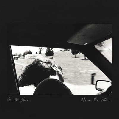 Sharon Van Etten - Are We There (LP) (10th Anniversary Edition) (Coloured Vinyl)