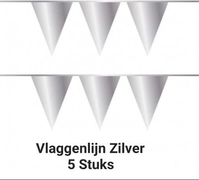 5 x vlaggenlijn - Zilver - 10 meter, Verjaardag, Themafeest, Jubileum, Kerstmis, Nieuwjaar, Carnaval
