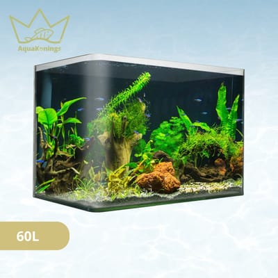 AquaKonings – Aquarium – Aquarium met afgeronde hoeken - Open Aquarium - Aquariumkit 60x30x36 64L