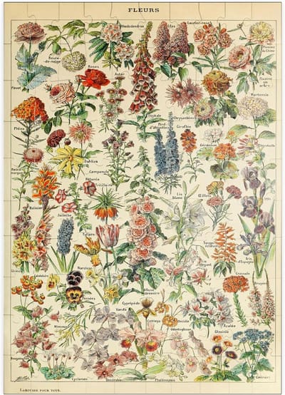 Vintage Bloemen Poster Puzzel 100 Stukjes Botanische Illustratie