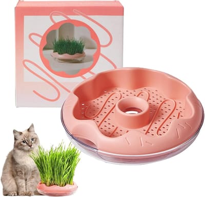 Catnip Groeiset voor Binnen, Hydroponische Catnip Tray, Plastic Plantenbak voor Katten, Ideaal voor Groene Thumbs en Gelukkige Huisdieren