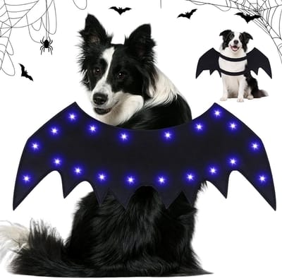 Verstelbare LED vleugels voor katten en honden - Halloween kostuum voor huisdieren, cosplay en feestdecoratie met bat wings