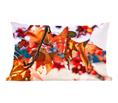 Sierkussens - Kussentjes Woonkamer - 50x30 cm - Esdoorn - Bladeren - Landelijk - Herfst