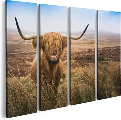Artaza Canvas Schilderij Vierluik Schotse Hooglander Koe In Het Veld - 80x60 - Foto Op Canvas - Canvas Print