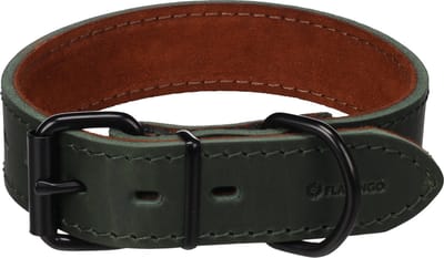 Hond Halsband Montana Groen M / L 39,5-49,5cm 35mm