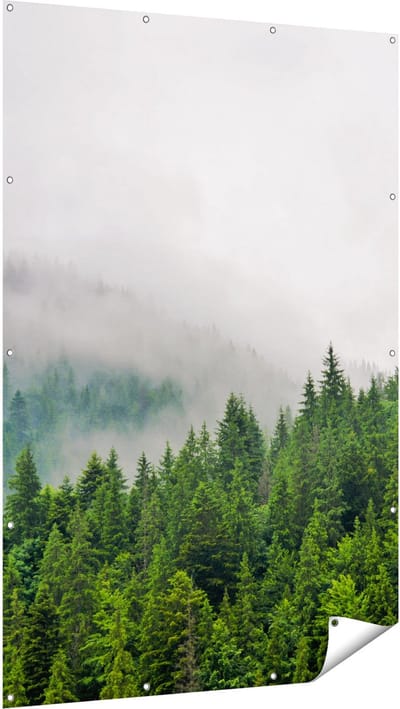 Gards Tuinposter Groen Bos met Bomen tijdens de Mist - 120x180 cm - Tuindoek - Tuindecoratie - Wanddecoratie buiten - Tuinschilderij