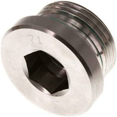 G 1'' Buitendraad RVS Plug met Binnenzeskant en FKM Afdichting 400 Bar - FL1-M-STF-100G-I