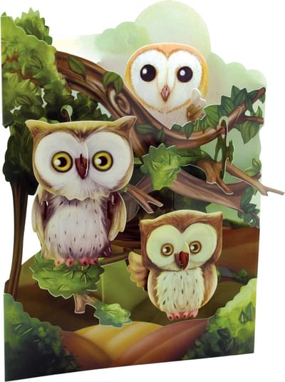 Santoro 3D Swing Cards Uilen
