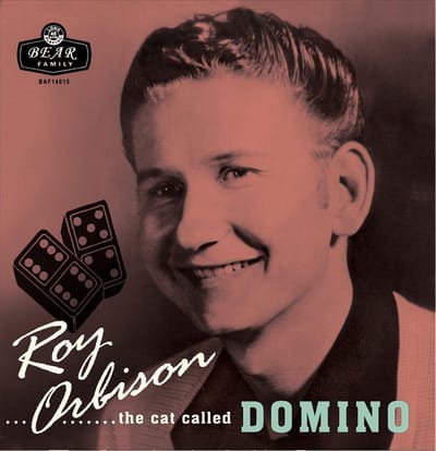 The Cat Called Domino