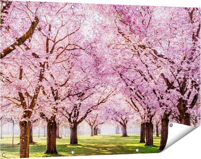Gards Tuinposter Roze Bloesembomen Park - Bloemen - 120x80 cm - Tuindoek - Tuindecoratie - Wanddecoratie buiten - Tuinschilderij