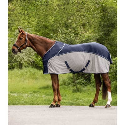 Vliegenbeschermdeken voor paard in de zomer Waldhausen Cooler