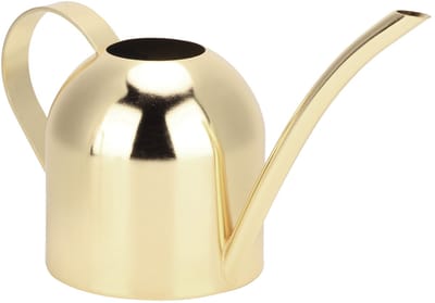 Gieter - Binnengieter - 500 ml - RVS Gieter met lange tuit - Geschikt voor binnen- en buitenplanten - Goud - Modern design