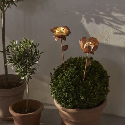Solar tuinverlichting Bloemen - Oxida - Set van 2