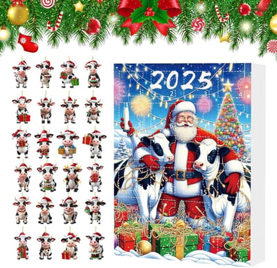 Kerstmis Aftelling Kalender - Adventskalender Speelgoed - Feestelijke Versiering - 24 Dagen Verrassing - 26x18x3 cm - D