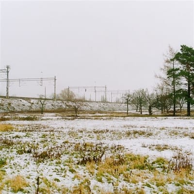 Unfinished Portraits - Untitled (LP)