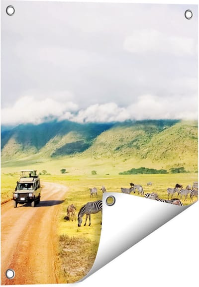 Gards Tuinposter Safari Auto tussen de Zebra's - 40x50 cm - Tuindoek - Tuindecoratie - Wanddecoratie buiten - Tuinschilderij