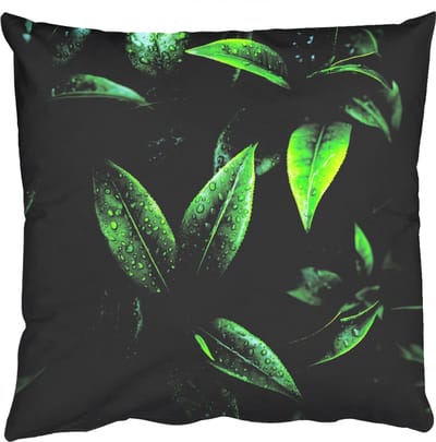 Sierkussens - Kussentjes Woonkamer - 50x50 cm - Bladeren - Regendruppels - Licht - Groen