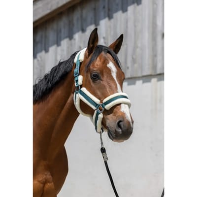 Norton Equestrian Cosy Halster Groen Full