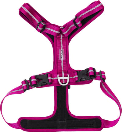 Jack And Vanilla - Tuigjes - Expedition Sky Tuigje - Fuchsia - L Expsh4240 - 174932