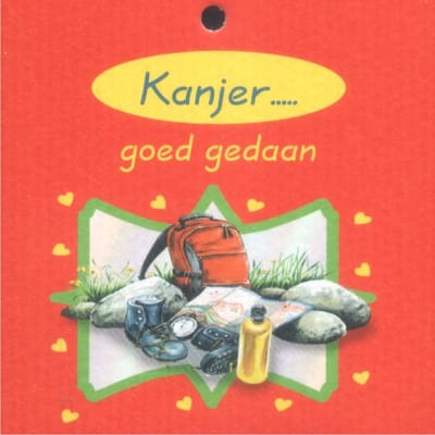 Bloemenkaartje Geslaagd - Cadeaukaartje - Kanjer Goed gedaan - 20 Stuks - kaartjes - 7 x 7 cm - Met Boorgaatje