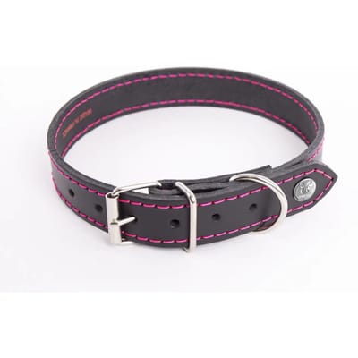 Hondenhalsband Martin Sellier Flash