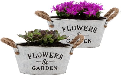 DK Design Plantenpot/bloempot teil Jardin- 2x - zink - wit - L21 x D13 x H10 cm