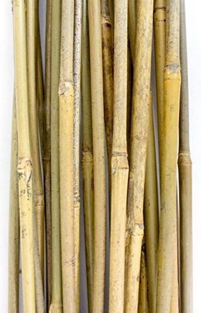 Plant!t Bamboe stokjes 90cm 25 stuks