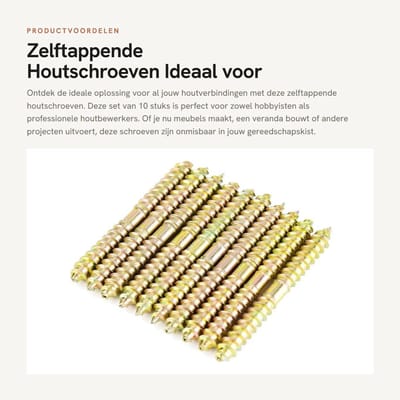Dailygoods- Houtschroeven Set - 10 Stuks - 6x60mm - Zelftappende - Dubbelzijdig Verzinkt - Duurzaam IJzer - Voor Houtverbindingen - Houtverbinding