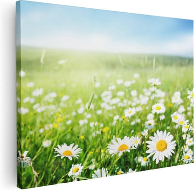 Artaza Canvas Schilderij Bloemenweide - 40x30 cm - Klein - Muurdecoratie Madeliefjes - Wanddecoratie Lente - Kamer Accessoires