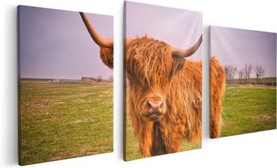 Artaza Canvas Schilderij Drieluik Bruine Schotse Hooglander Koe - Kleur - 120x60 - Foto Op Canvas - Canvas Print