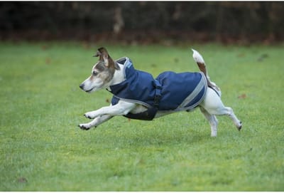 BUCAS FREEDOM DOG RUG 300GRAM Donkerblauw-zilver