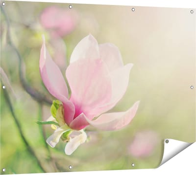 Gards Tuinposter Roze Magnolia Bloem - 120x90 cm - Tuindoek - Tuindecoratie - Wanddecoratie buiten - Tuinschilderij