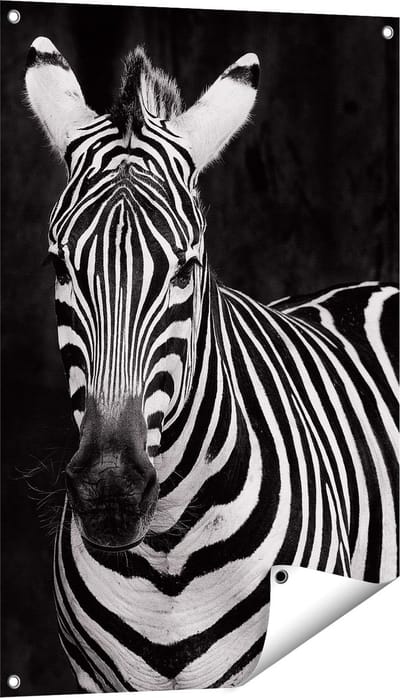 Gards Tuinposter Twee Zebra's - Zwart Wit - 60x90 cm - Tuindoek - Tuindecoratie - Wanddecoratie buiten - Tuinschilderij