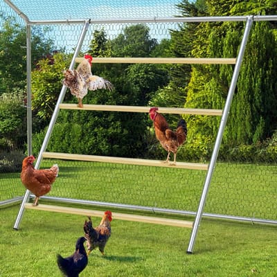 Kippenhok Roosting Essentials - Kippenstaanders Coop Rack - Kippen Laten Rusten - Stevig Gegalvaniseerd Staal - 140 x 105 cm
