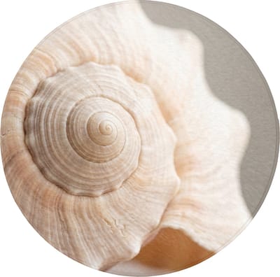 Badmat rond 70x70 cm - Antislip - Schelp - Detail - Beige - Badmatten voor badkamer - Badkamermat - Douchemat - Ronde badkamer mat