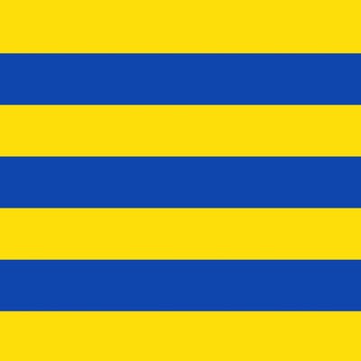 Vlag Amay 100x150cm
