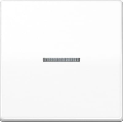 Jung AS500 Schakelelement/Centrale Plaat - AS591KO5WW - E32QU