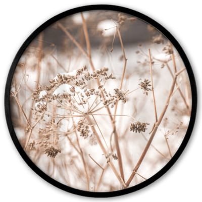Poster in lijst Rond - Fotolijst 40x40 cm - Posters - Droogbloemen - Wit - Planten - Ronde posterlijst zwart - Decoratie - Wanddecoratie woonkamer - Muurdecoratie slaapkamer