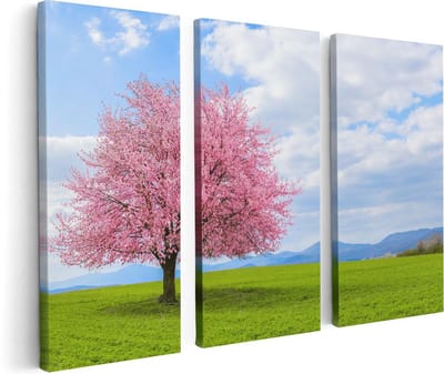 Artaza Canvas Schilderij Drieluik Roze Sakura Bloesem Boom In Het Groene Veld - 120x80 - Foto Op Canvas - Canvas Print