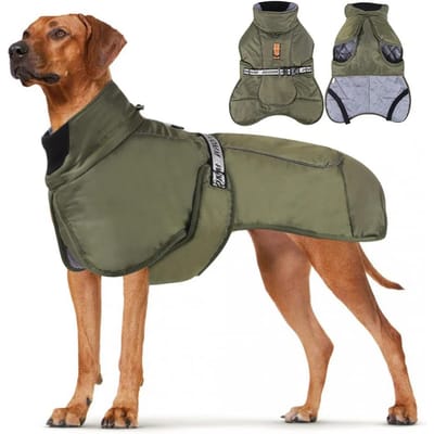 Winterhondenkleding Voor Grote Honden Warme Fleece Grote Hondenjas Waterdichte Huisdierenjas Met Tuig Labrador Kleding Huisdierenkostuum XL